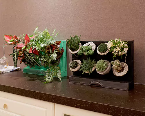 De farverige urtepotter får mine planter til at føle, at de er på ferie hver dag