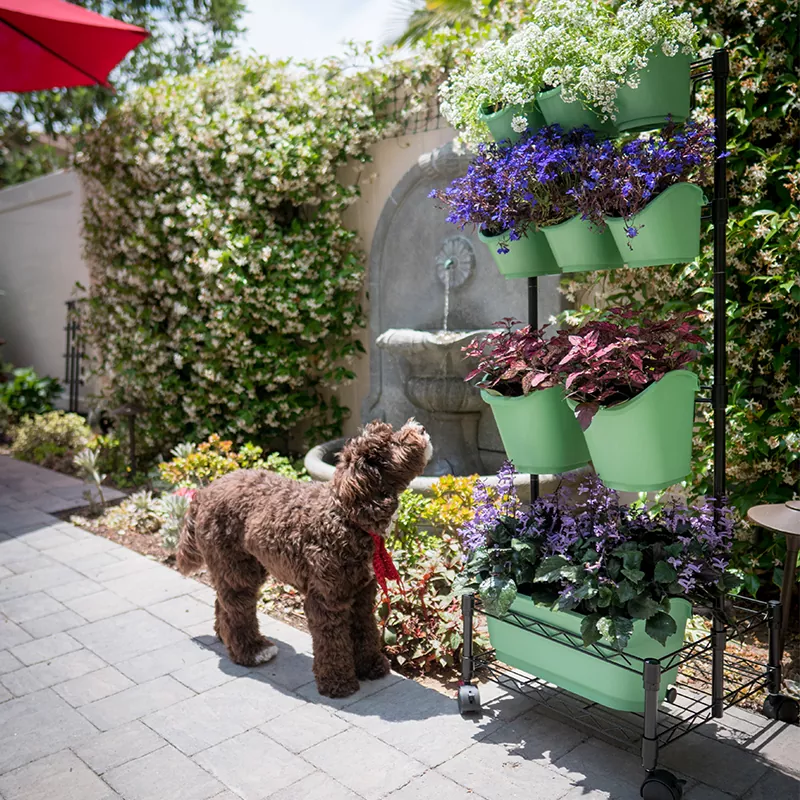 Metal Mobil Grøn Væg Dobbeltramme